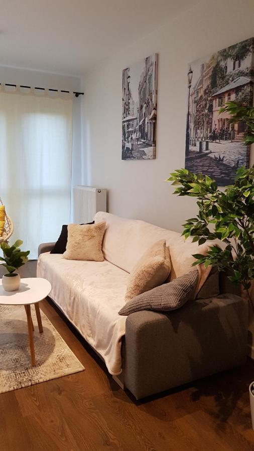 Venice Villa Apartment, Self Check-In 24H, Free Parking พอซนาน ภายนอก รูปภาพ