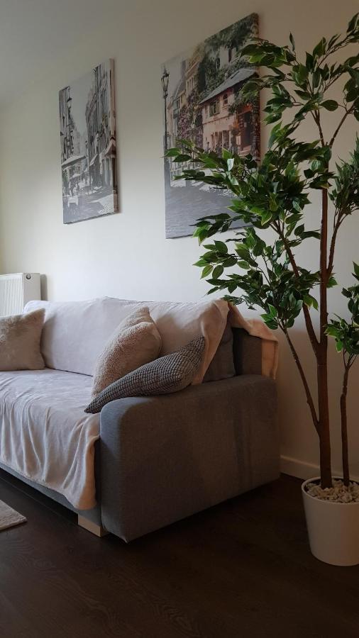 Venice Villa Apartment, Self Check-In 24H, Free Parking พอซนาน ภายนอก รูปภาพ